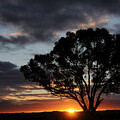  Boorowa Sunset